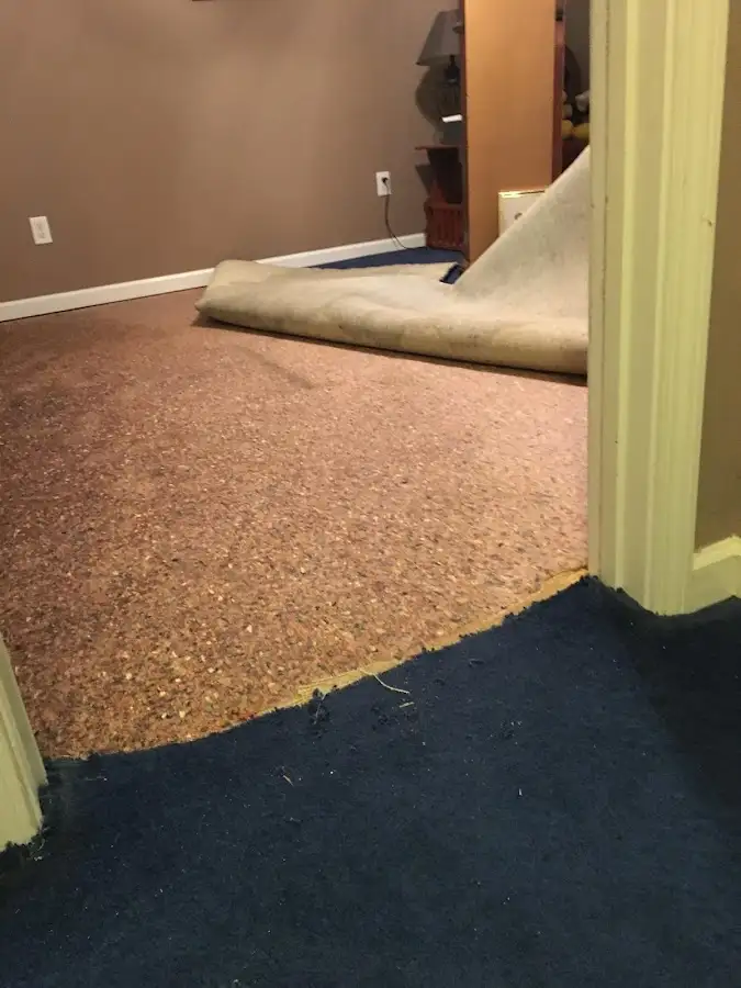 Carpet pad removal revealing water damage during Water Mitigation Services in Bloomfield